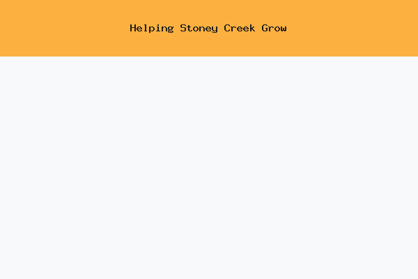 Stoney Creek Digital Marketing