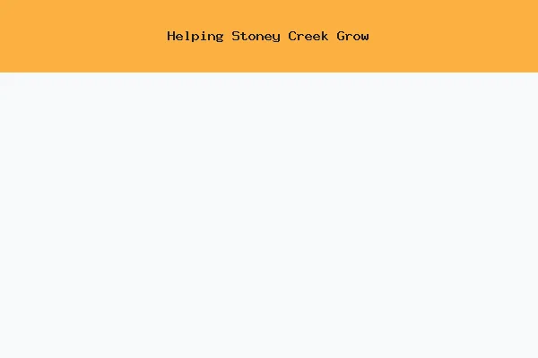 Stoney Creek Digital Marketing
