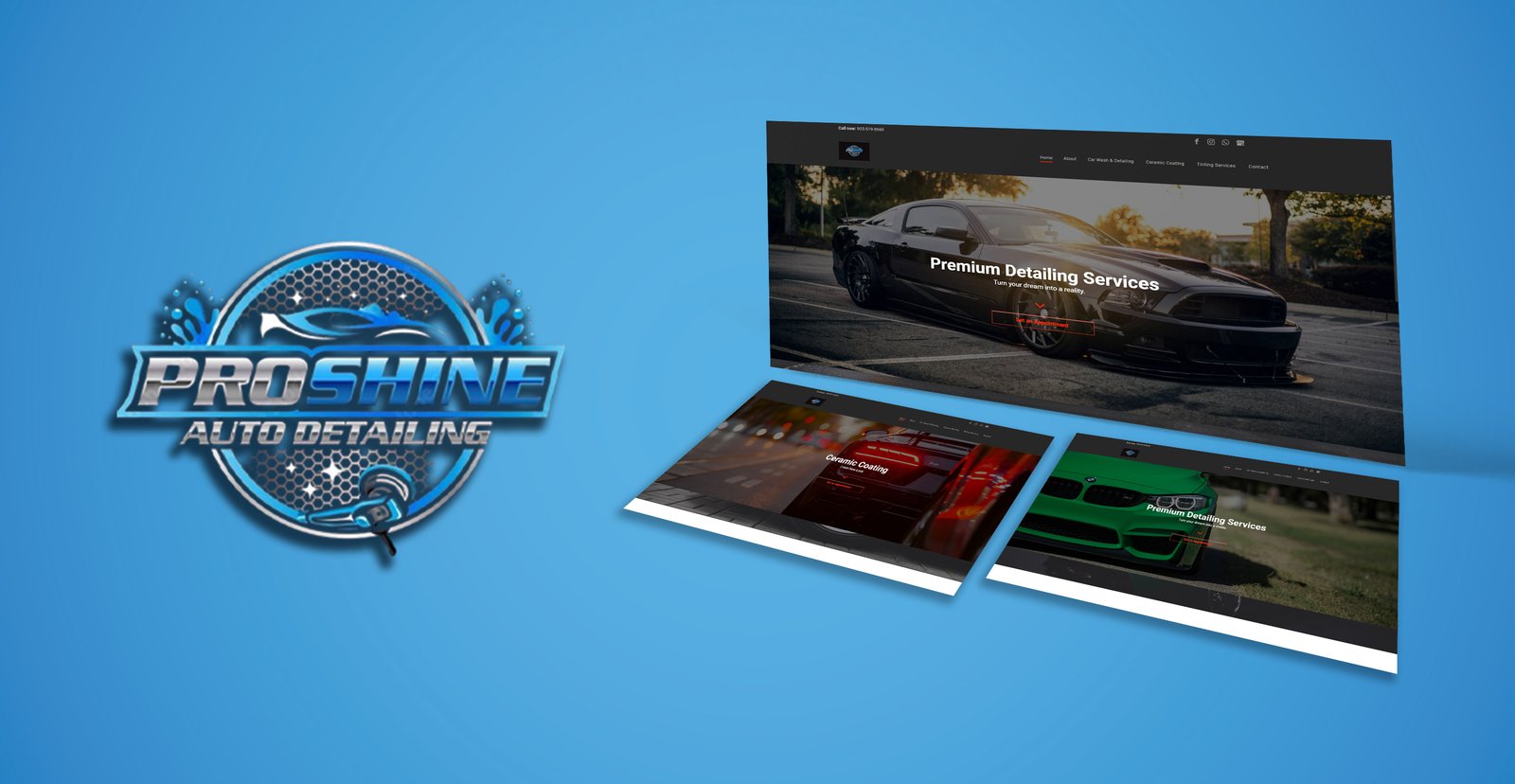 Pro-Shine Auto Detailing  case study