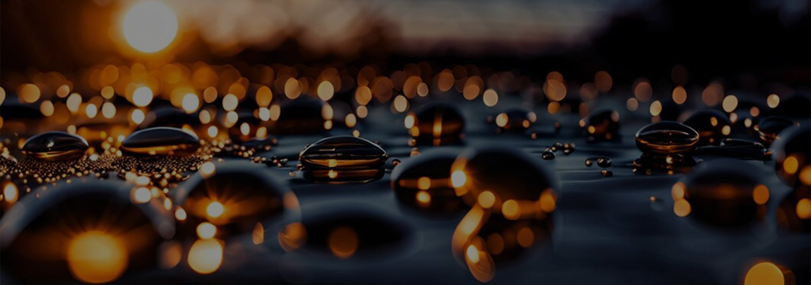 Photography & Videography - Digital Marketing Service